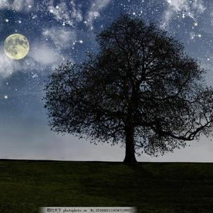 少妞躁BBB少妞躁BBBB
